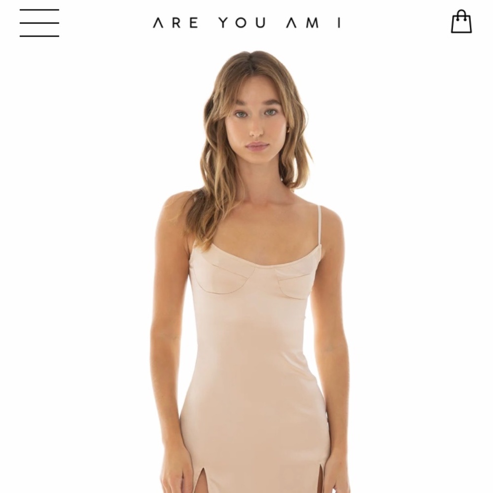 Are You Am I Prissi Dress in Fawn